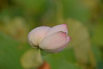 KKB_3845