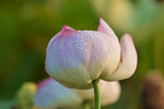 KKB_3850