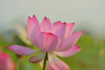 KKB_3851