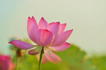KKB_3852
