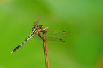 KKB_3861