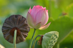 KKB_3875