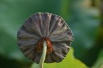 KKB_3878