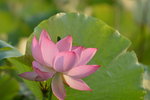 KKB_3880
