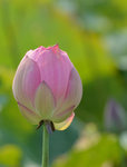 KKB_3940