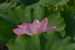 KKB_3946