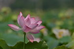 KKB_4021