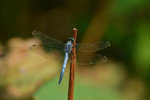 KKB_4027