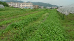 P1080252