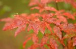 KKB_4084