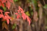 KKB_4126