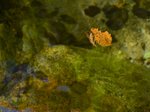 KKB_4597