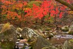 KKB_4716