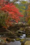 KKB_4744