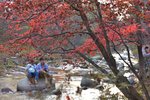 KKB_4790