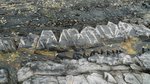 P1090362