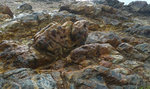 P1100678