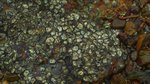 P1100685