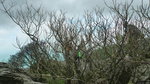 P1100840