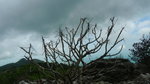 P1100841