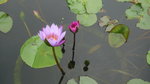 P1110329