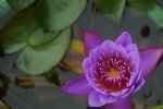 P1110332