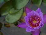 P1110333