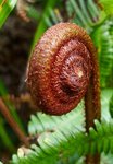 P1110350