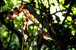 P1110697
