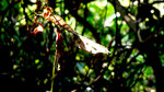 P1110698
