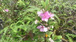 P1120280