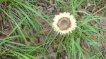 P1120336