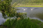 _KKB2497r