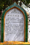 _KKB2635