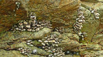 P1140180