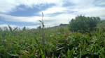 P1140367