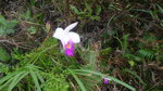 P1140574