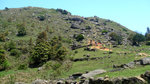 P1150988