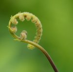 _DSC0056