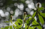 _DSC0064