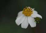 _DSC0093
