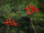 _DSC0095r