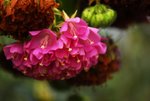 _DSC0123