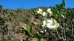 P1170869