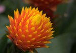 _DSC0102r