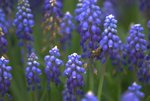 _DSC0106r
