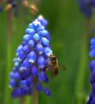 _DSC0107r