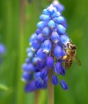 _DSC0108r