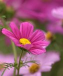 _DSC0109r