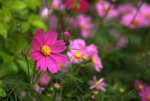 _DSC0115r